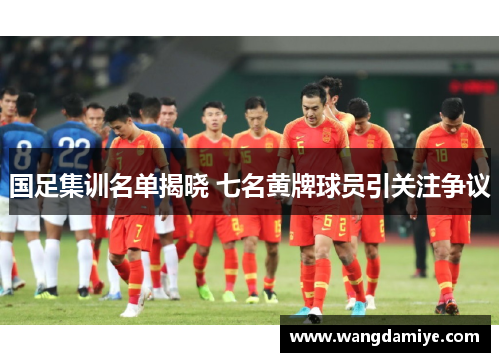 国足集训名单揭晓 七名黄牌球员引关注争议