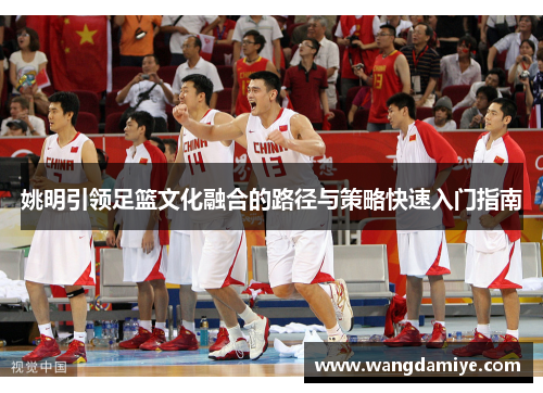 姚明引领足篮文化融合的路径与策略快速入门指南
