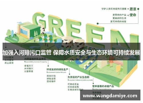 加强入河排污口监管 保障水质安全与生态环境可持续发展