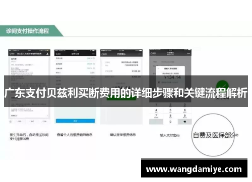 广东支付贝兹利买断费用的详细步骤和关键流程解析