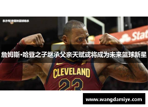 詹姆斯·哈登之子继承父亲天赋或将成为未来篮球新星